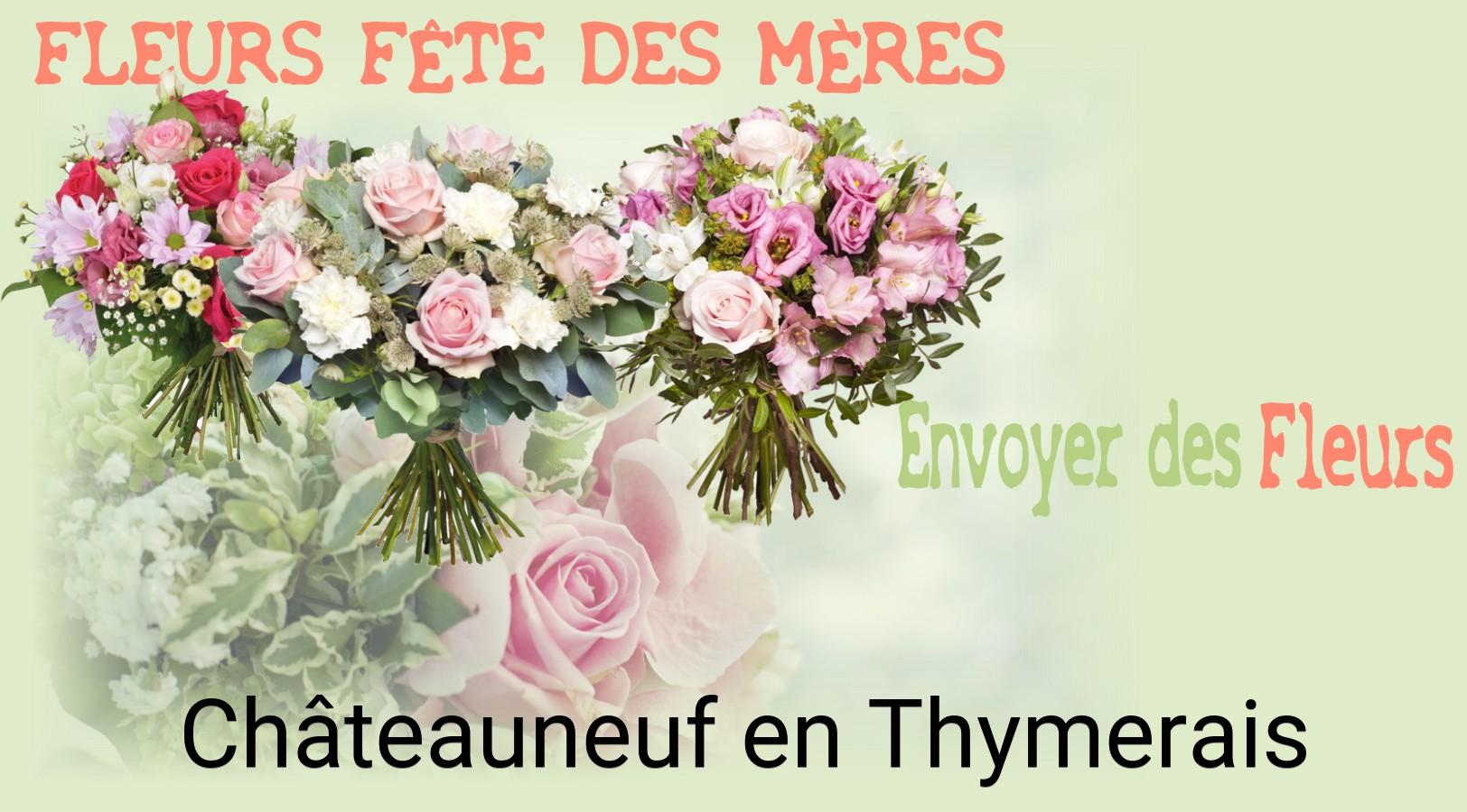 Bouquet de Fête des Mères livré à Châteauneuf-en-Thymerais